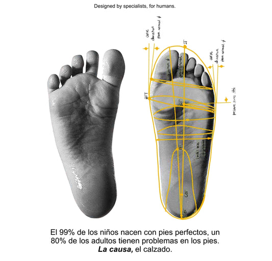 ¿QUE BENEFICIOS TIENE KOOPS?