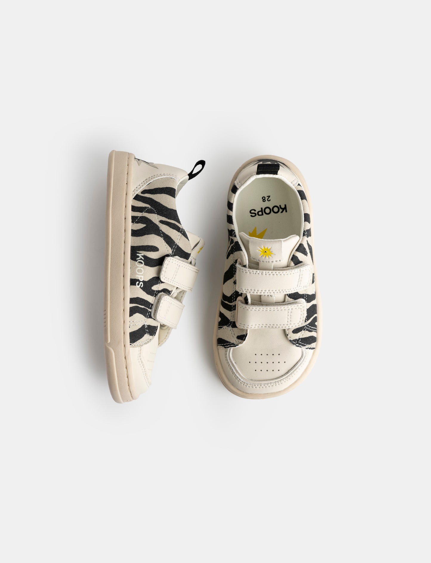 RAFI ZEBRA