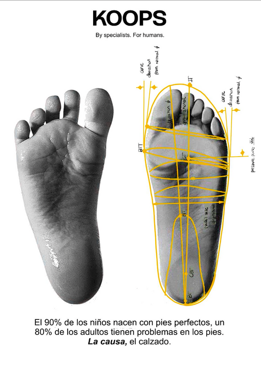 Foot Arch