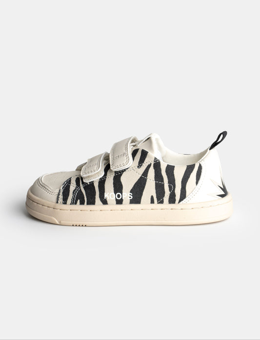 RAFI ZEBRA