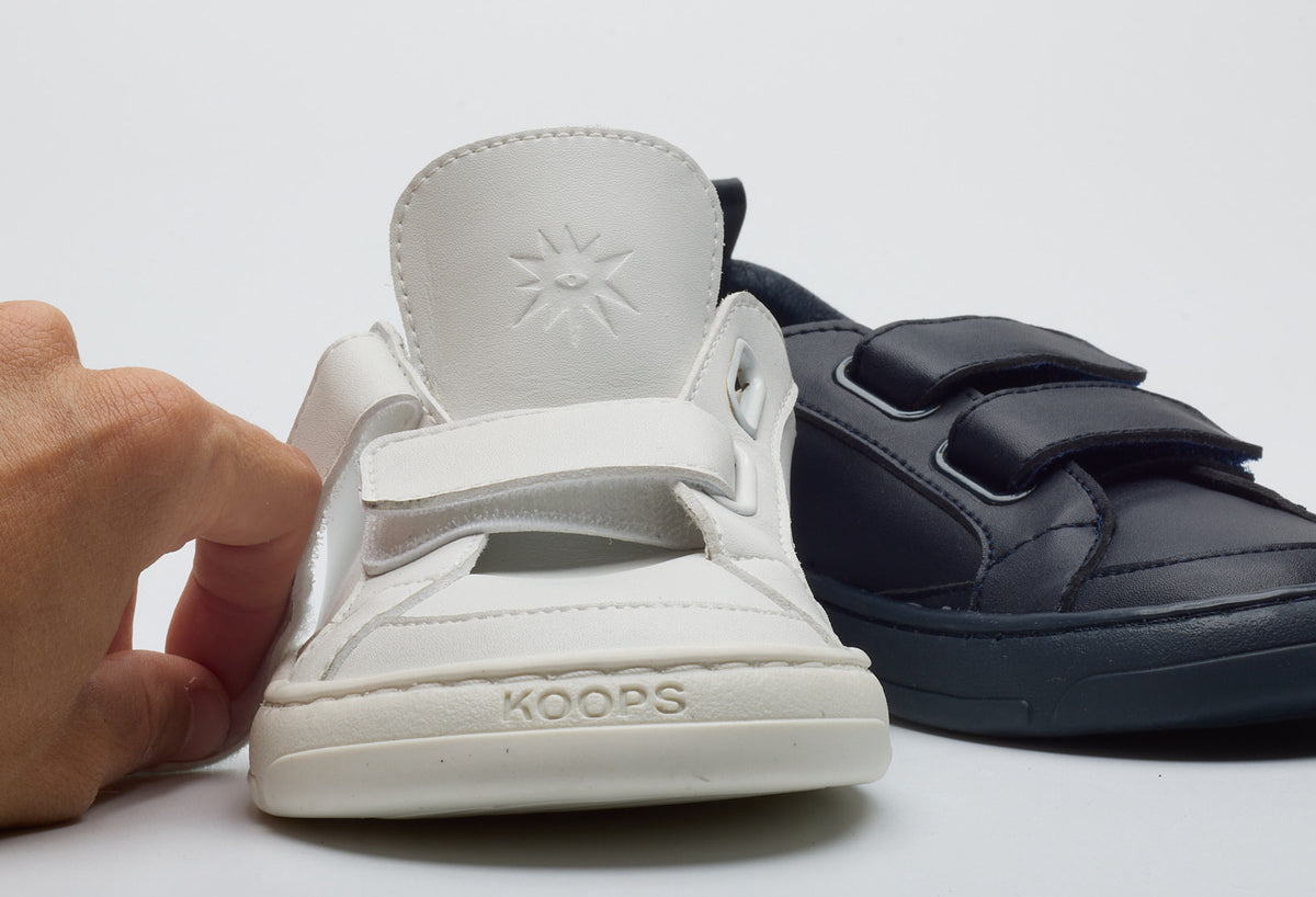 Koops Nebula MARCA – KOOPS