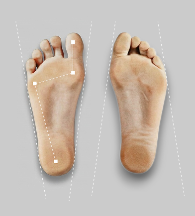 Barefoot foot anatomy